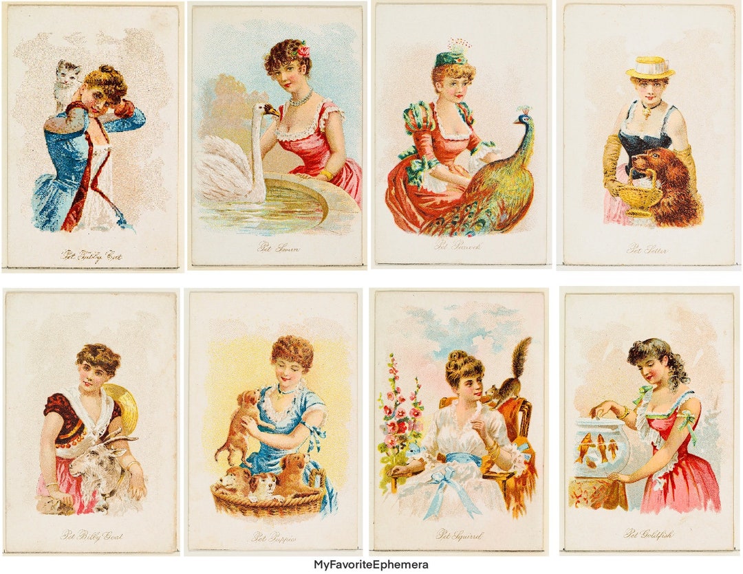 MY PET Trade Card Series Issued Late 1800s, 24 Cards Two Sizes for Junk