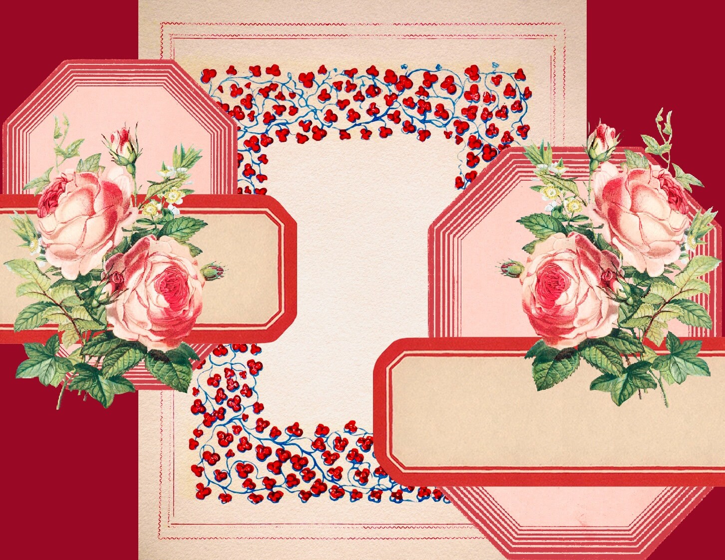 Rose garden journal - YouTube