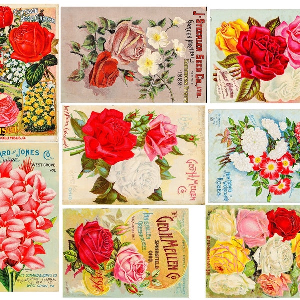 Kit II Vintage Floral Flower Bulb and Seed Catalogue Digital Kit For Junk Journal 32 Images and A Miniature Collage Sheet