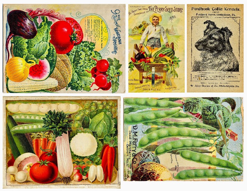 Vegetable Garden and Farm Seed Catalog Digital Kit Junk Journal 21
