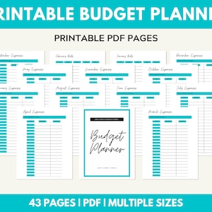 Finance Planner, Printable Financial Journal, Budget Planner Printable, Budget Planner Kit, Budget Binder, Budgeting Planner, Money Planning