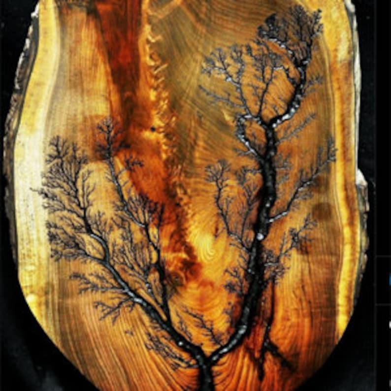 Lichtenberg Wood Burning Machine, Smart Hobby, Remote Controlled Etsy