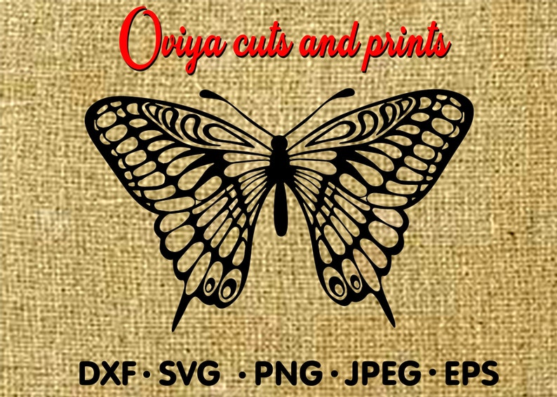 Download Butterfly Svg Butterfly Outline Butterfly Mandala Butterfly Etsy 3D SVG Files Ideas | SVG, Paper Crafts, SVG File
