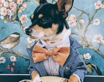 Elegant Dog Tuxedo: Custom Pet Wedding Outfit, Formal Attire