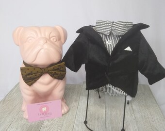 designer dog coats