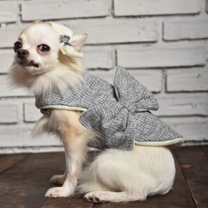 Dog dress, Chihuahua Dress, dog clothes, dog Dresses, dog harness dress, designer dog clothes, dog outfit, dog wear, cat dress, dog tutu