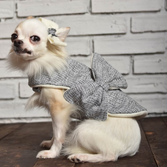 Hond jurk Chihuahua Jurk hond hond Jurken hond - Etsy Nederland