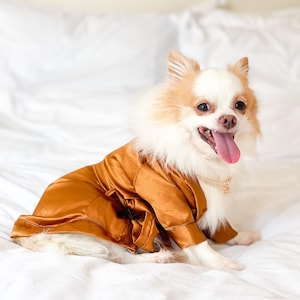 Dog silk robe discount