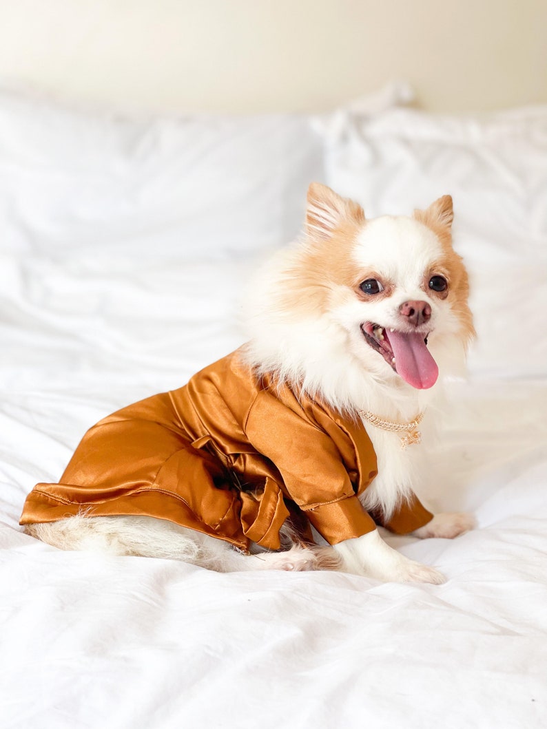 ETSY DESIGN AWARDS Finalista 2022 Bridal Robe Dog Bathrobe Etsy