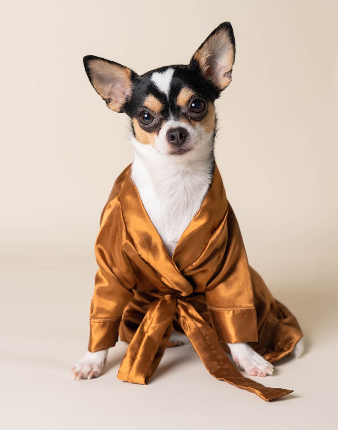 【LIMITED】DOGGY ROBE　SUNSET × MINT SODA M LIMITED】DOGGY ROBE SUNSET × MINT SODA M Premium Microfiber Dog
