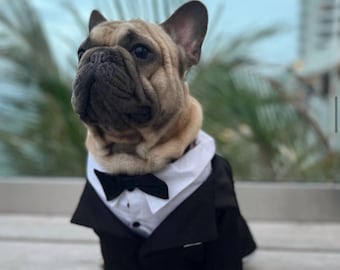 Custom Bulldog Tuxedo: 4-Piece Elegant Pet Outfit