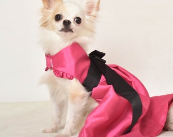 Rosa hundklänning: Chihuahua-outfit med huvudbonad