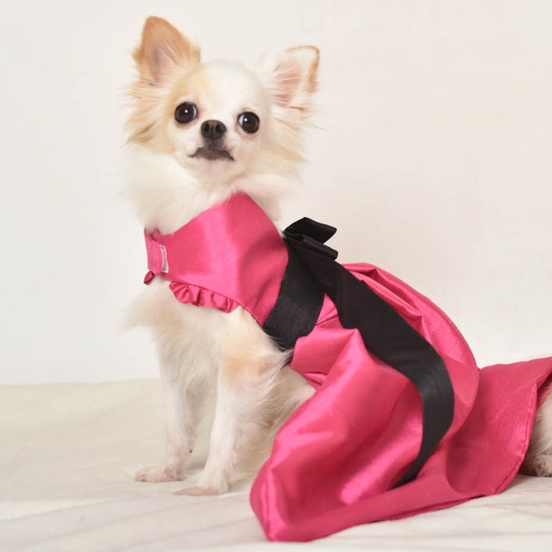 Chihuahua Pattern Print Dress