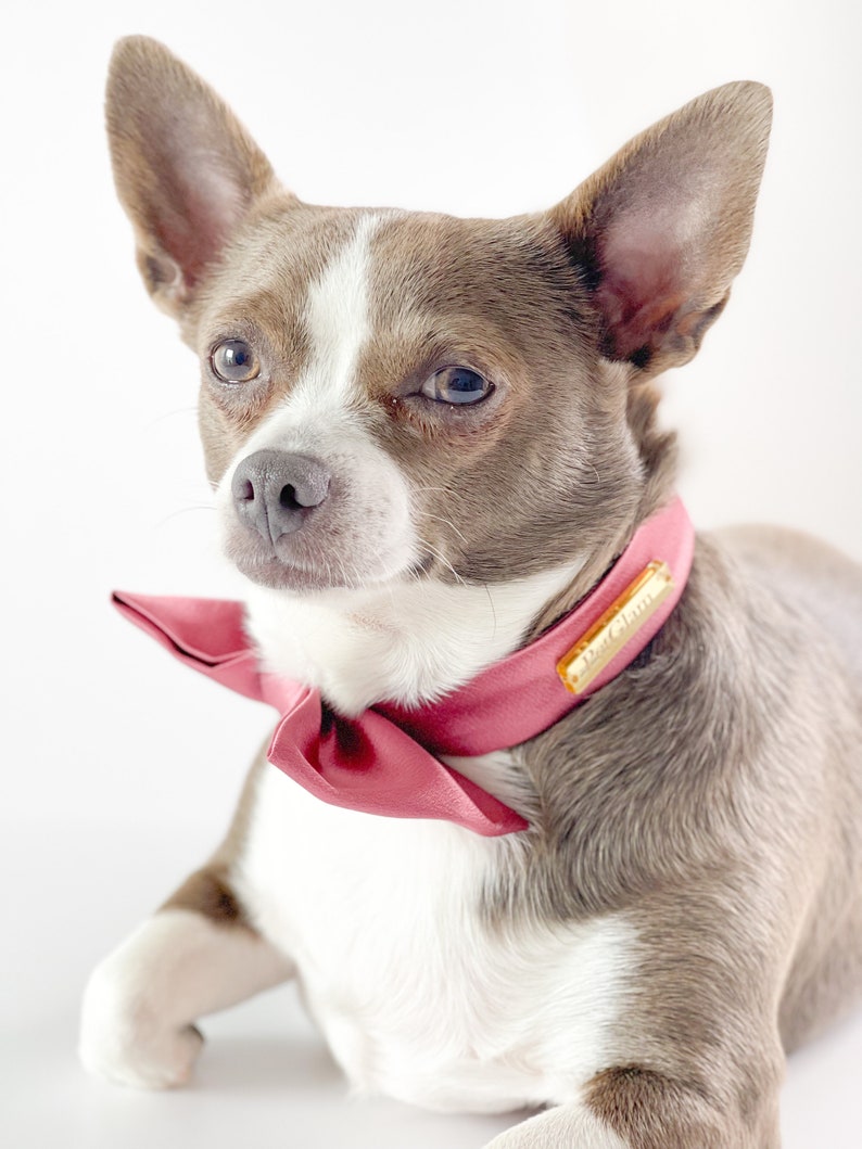Luxury dog bow ties, Dog bowtie, Dog bow ties, Cat bow tie, pet bow tie, bow ties for dogs, dog bow tie for wedding, Custom Dog Bowtie image 1