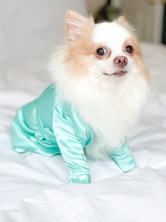 Dressing gown with dogs on cheap