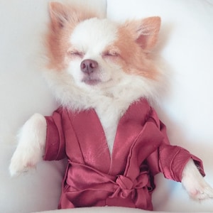 Dog silk store robe