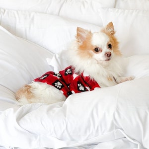 Luxury Dog Dressing Gown - Custom Satin Bathrobe for Pets