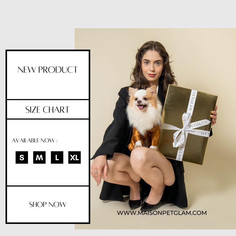 May include: A woman in a black blazer holds a gold gift box with a white ribbon. A small white and brown chihuahua wearing a gold and orange outfit sits on her lap. The text "PETGLAM" is printed on the gift box. The text "NEW PRODUCT", "SIZE CHART", "AVAILABLE NOW", "S M L XL", "SHOP NOW", and "WWW.MAISONPETGLAM.COM" is displayed on a white background.