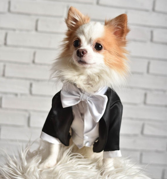 Black Dog Tuxedo Dog Wedding Attire Designer Dog Clothes 