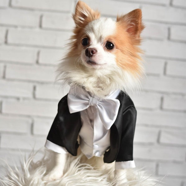 Black dog tuxedo, Dog wedding attire, designer dog clothes, dog bow tie, dog suit, velvet tuxedo,dog vest, custom dog clothes, dog outfit