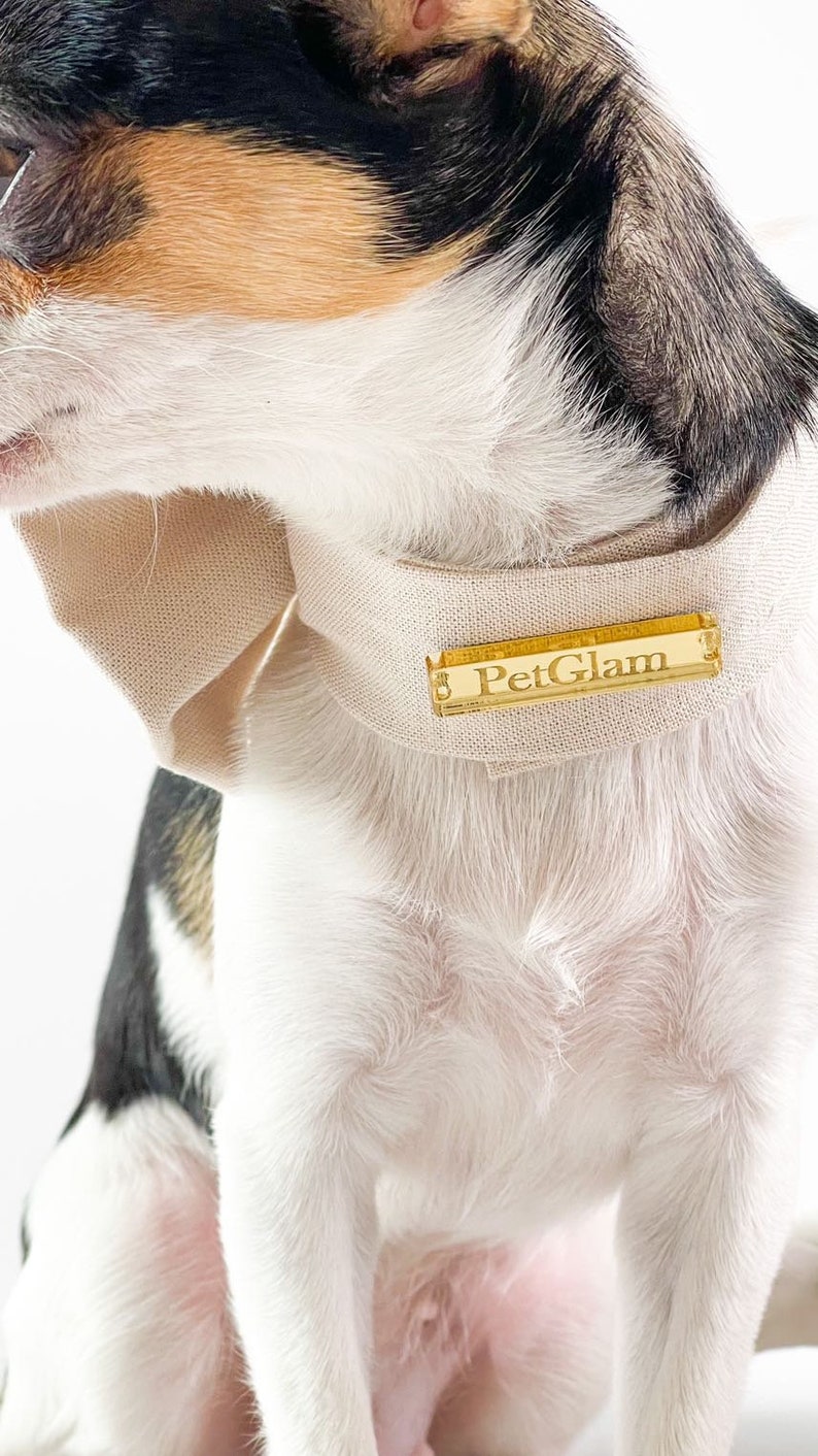 Luxury dog bow ties, Dog bowtie, Dog bow ties, Cat bow tie, pet bow tie, bow ties for dogs, dog bow tie for wedding, Custom Dog Bowtie image 9