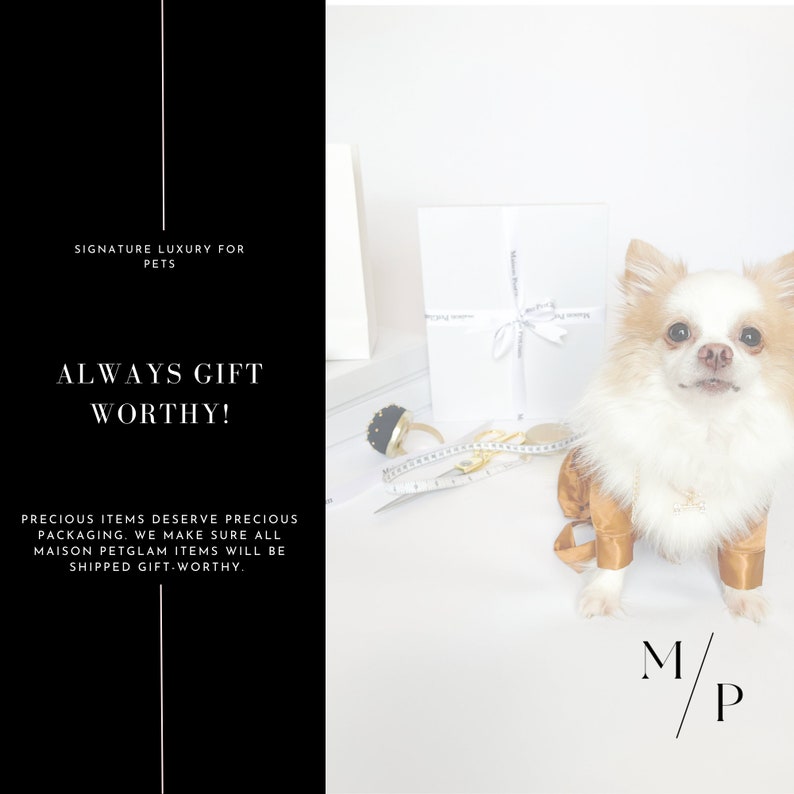 May include: A small white and brown dog wearing a gold jacket and a gold necklace. The dog is sitting on a white surface with a white box, a gold ring, and a measuring tape. The text "M/P" is in the bottom right corner of the image. The text "SIGNATURE LUXURY FOR PETS" and "ALWAYS GIFT WORTHY!" is in the top left corner of the image. The text "PRECIOUS ITEMS DESERVE PRECIOUS PACKAGING. WE MAKE SURE ALL MAISON PETGLAM ITEMS WILL BE SHIPPED GIFT WORTHY." is in the bottom left corner of the image.