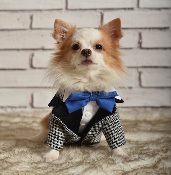 Smoking pour chien Tenue pour chien V tements de marque pour