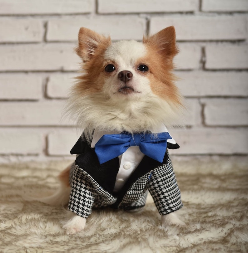 Dog Tuxedo Dog Outfit Designer Dog Clothes Dog Ring Bearer Etsy