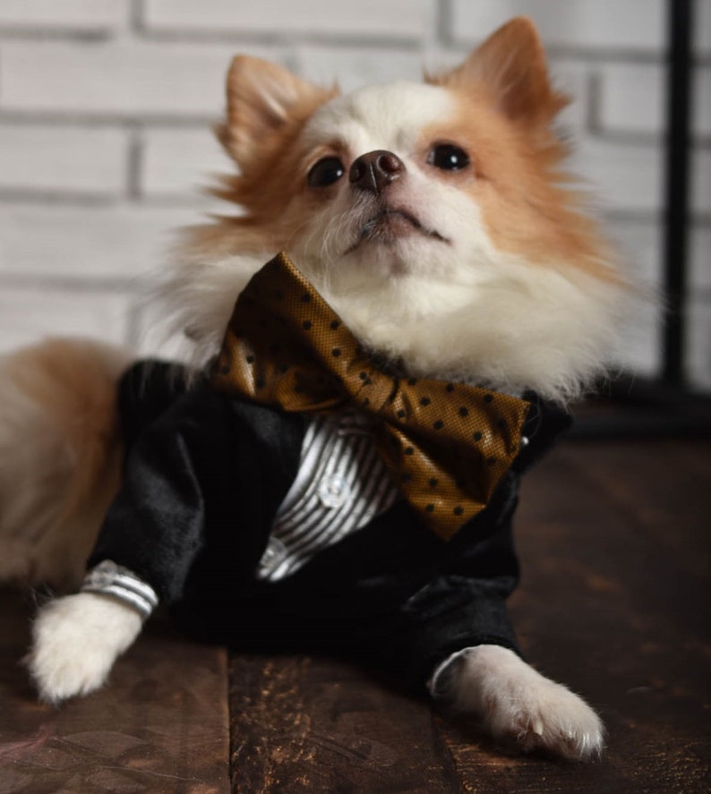 Dog Wedding Attire Custom dog clothes Dog Ring bearer Etsy