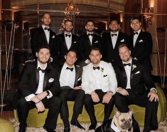 Custom Bulldog Tuxedo: 4-Piece Elegant Pet Outfit