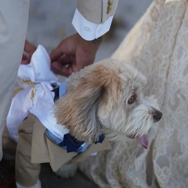 Pet harness for wedding ring bearers, Wedding dog harness with cushion, Elegant dog harness with cushion and hook, Ring Bearer Dog Set