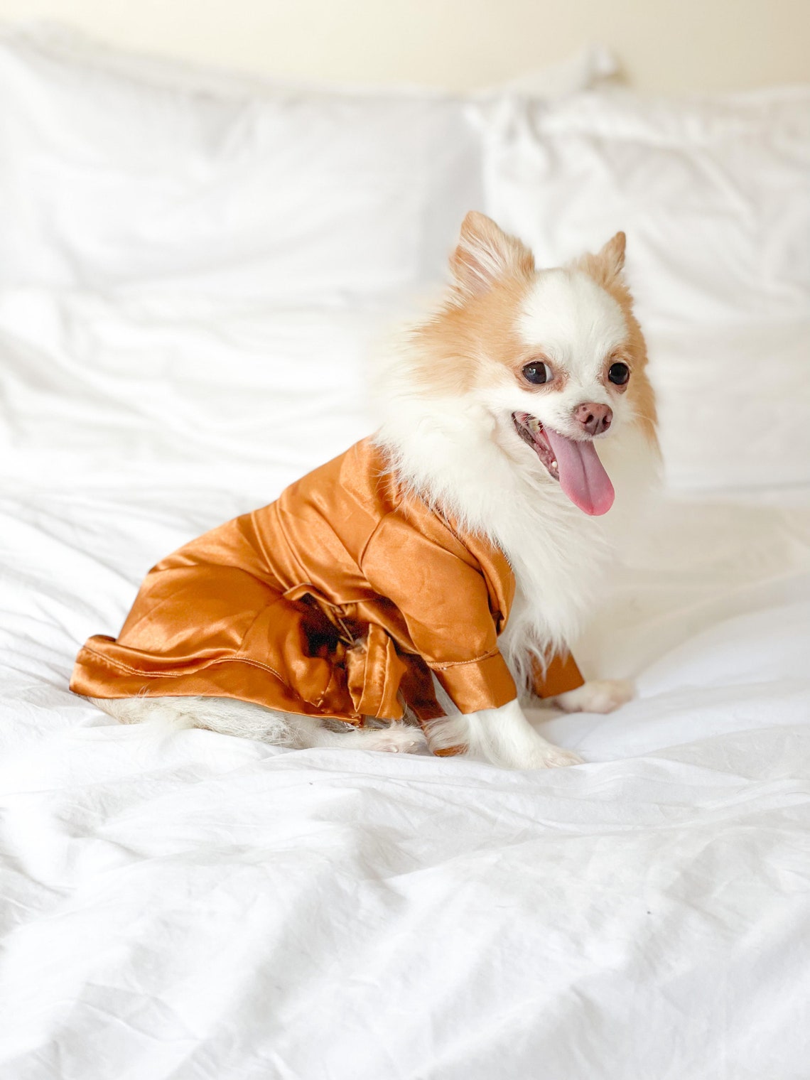 Bridal Robe Dog Bathrobe Bridesmaid Robe Bride Robe Satin - Etsy