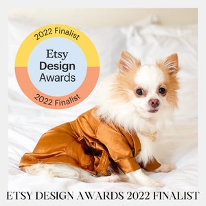 ETSY DESIGN AWARDS Finalista 2022, Bridal robe, dog bathrobe, bridesmaid robe, satin robe, lace robe, pajamas for dogs, dog wedding attire image 1