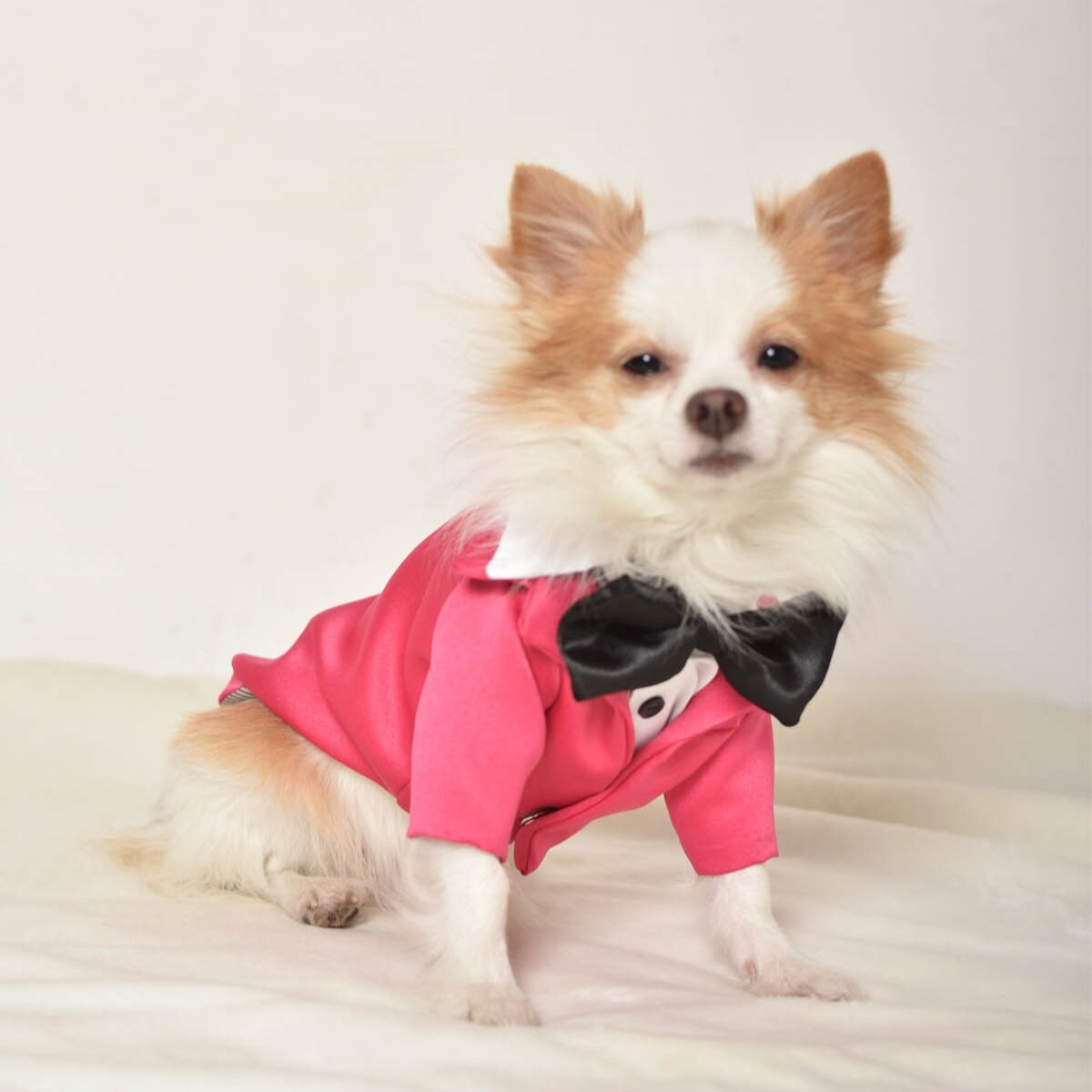 Hund Smoking Hund Hochzeit Kleidung DesignerHundeKleidung Etsy