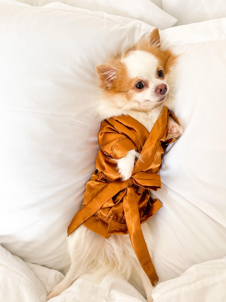 ETSY DESIGN AWARDS Finalista 2022, Bridal robe, dog bathrobe, bridesmaid robe, satin robe, lace robe, pajamas for dogs, dog wedding attire image 4