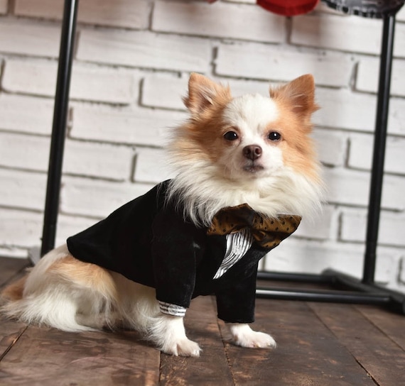 Custom dog clothes uk hotsell