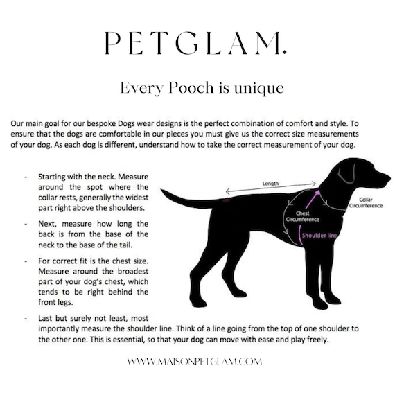 How Do I Know What Size My Dog Wears