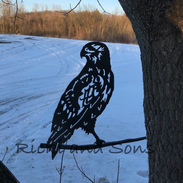 Hawk - Falcon / Steel Metal art / Metal Decor / Outdoor Decor / Metal Sign / Metal Bird