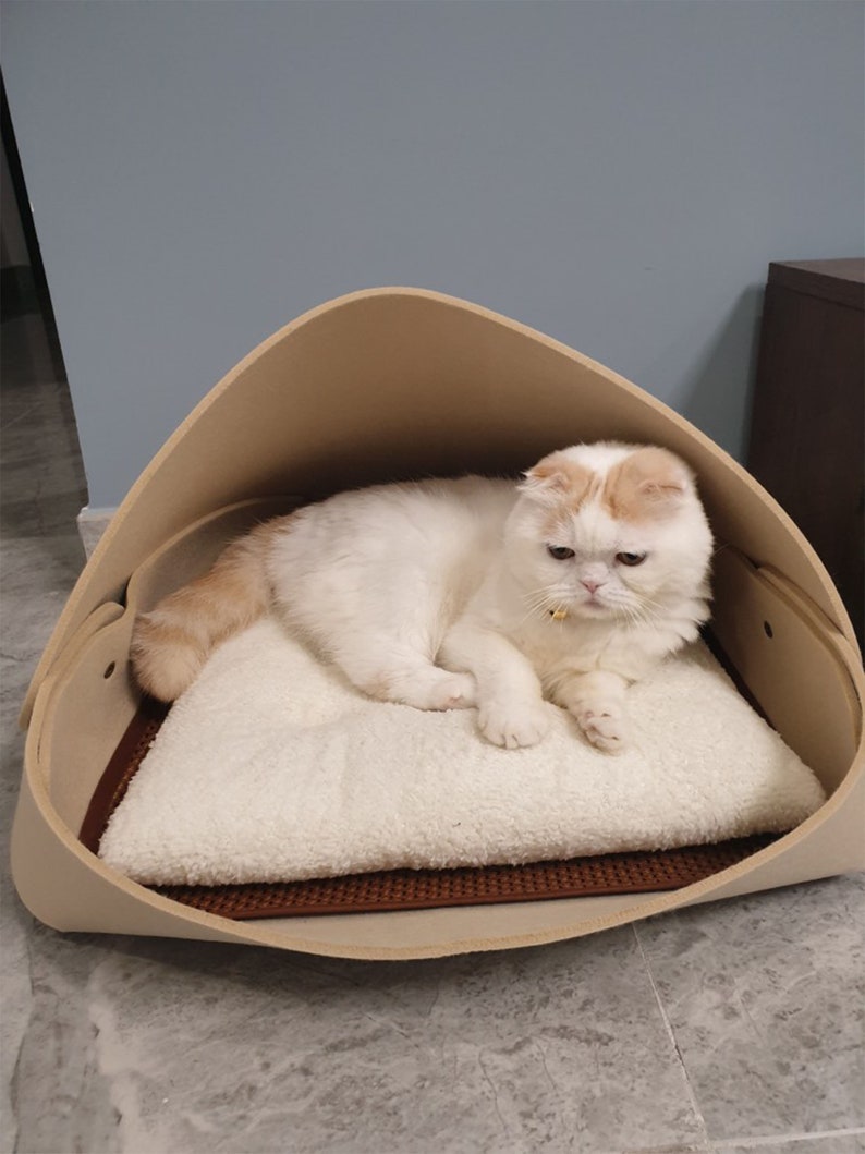 closed cat bed