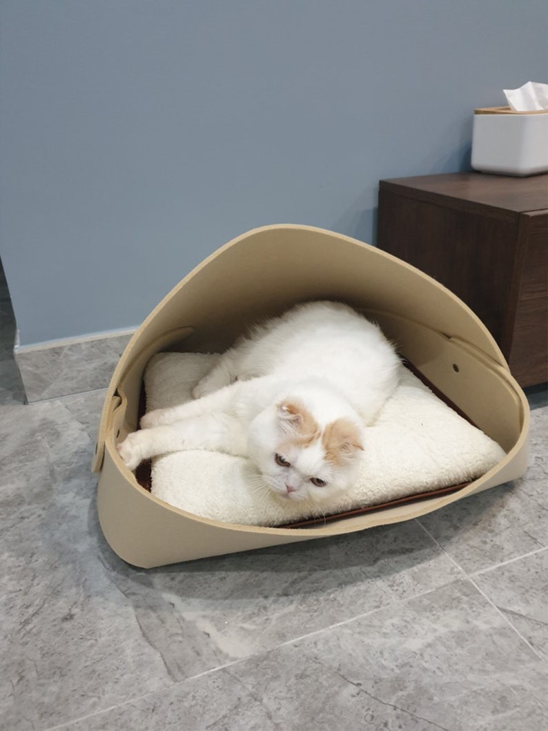 closed cat bed