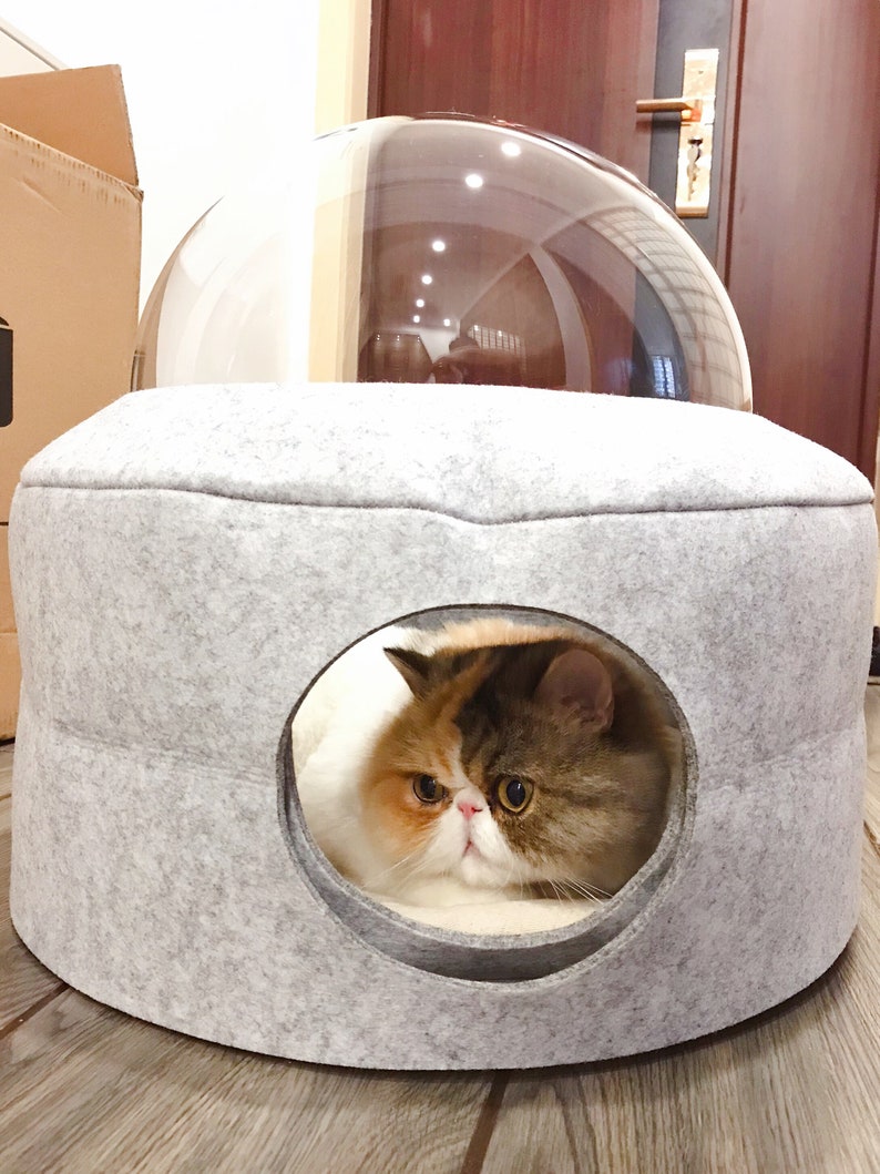 mini cat bed