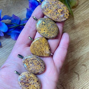 May include: Five polished stone pendants in shades of yellow and brown, each with a unique pattern. The pendants have a brass-colored bail at the top for attaching to a chain. The stones are oval and teardrop shaped.
