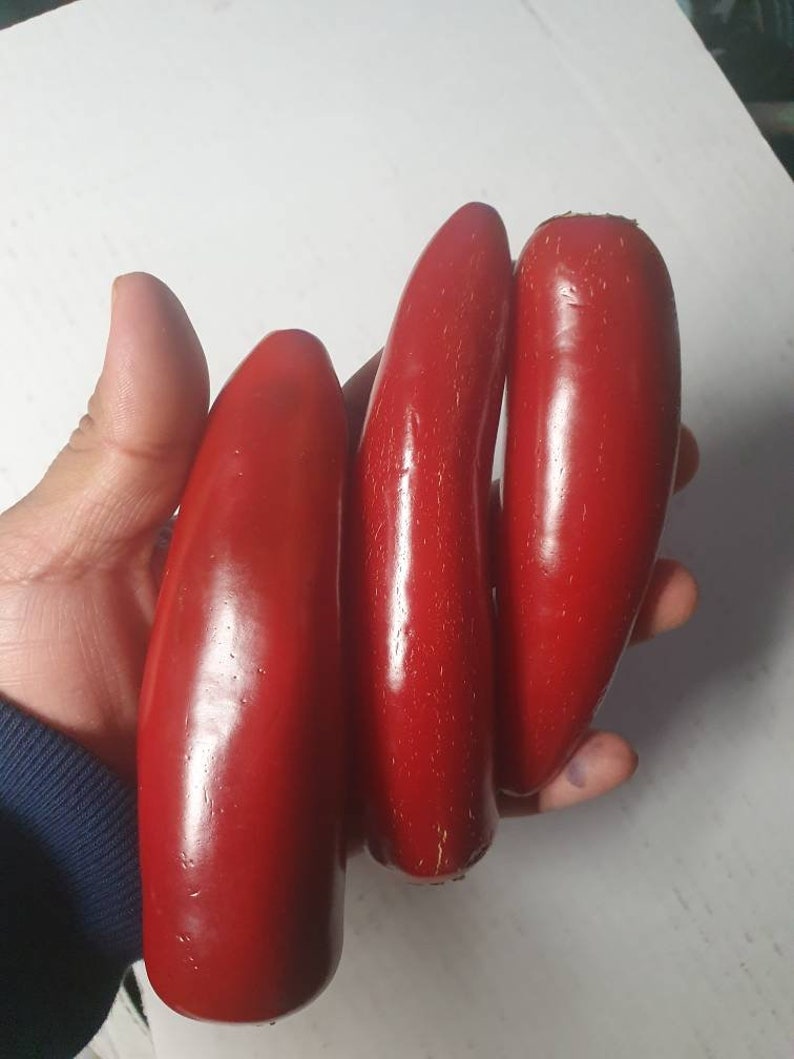 Jumbo rojo Jalapeño jalapeño aka chipotle Semillas de Chile Etsy España