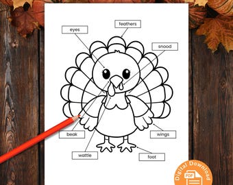 Parts of a Turkey Coloring Page, Thanksgiving Activity for Kids, Fall Science Coloring Worksheet, Turkey Anatomy Labeled Diagram Printable