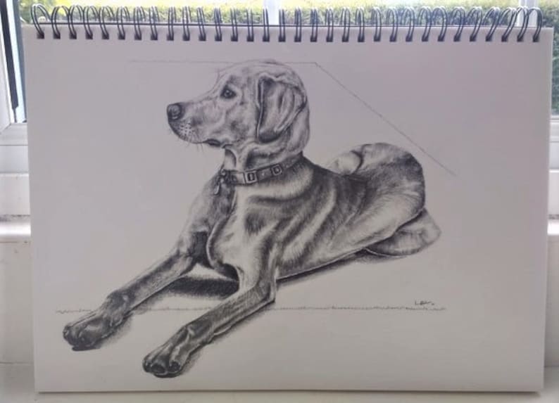 Portrait from Photo Cat Drawing Custom Pet Drawings A Great Gift for Pet Lovers; Pencil Drawing Dog Drawing Animal Drawing