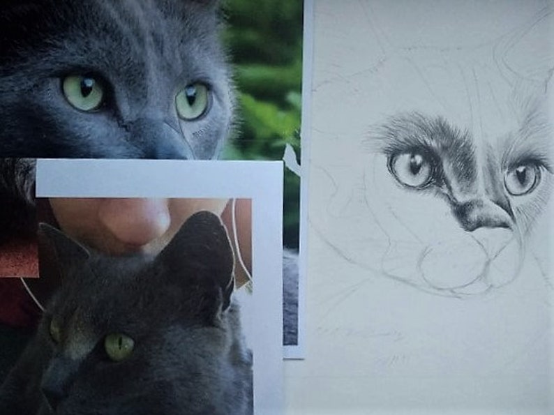 Portrait from Photo Cat Drawing Custom Pet Drawings A Great Gift for Pet Lovers; Pencil Drawing Dog Drawing Animal Drawing