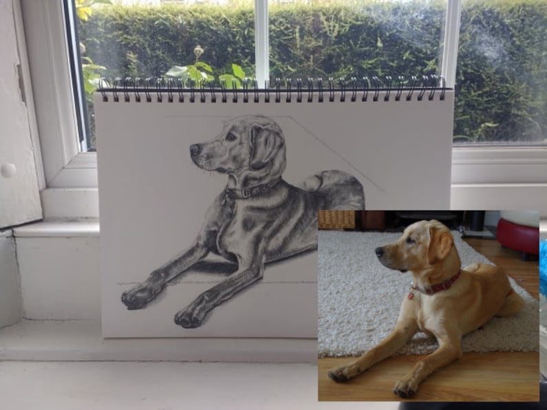 Portrait from Photo Cat Drawing Custom Pet Drawings A Great Gift for Pet Lovers; Pencil Drawing Dog Drawing Animal Drawing