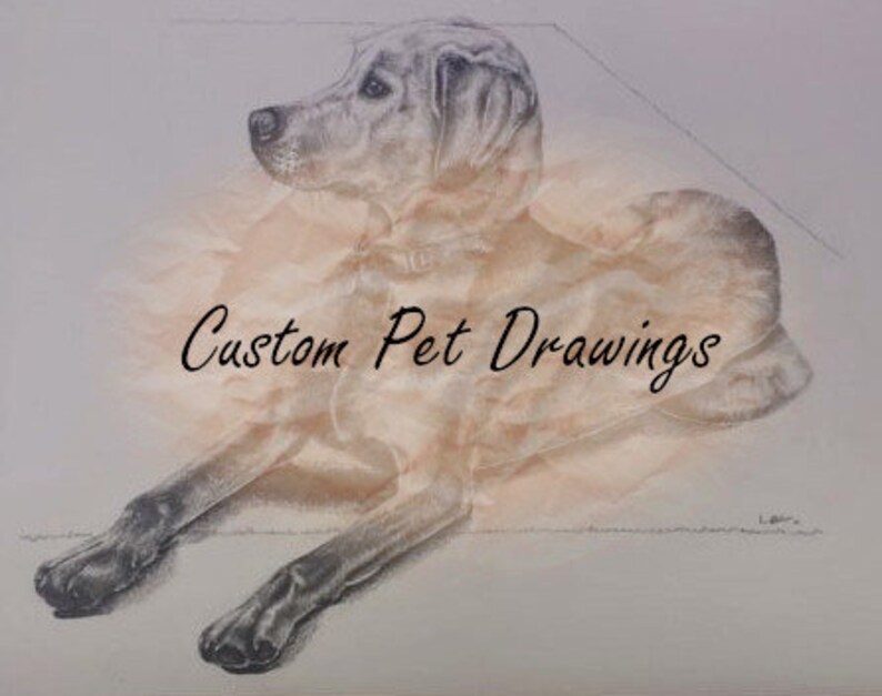 Portrait from Photo Cat Drawing Custom Pet Drawings A Great Gift for Pet Lovers; Pencil Drawing Dog Drawing Animal Drawing