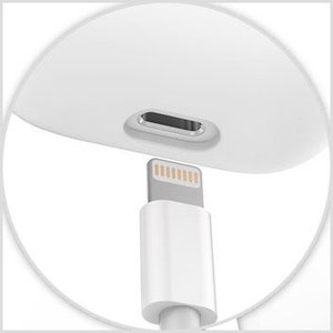 May include: Close-up of a white charging case with a Lightning connector port. A white Lightning cable is plugged into the port.