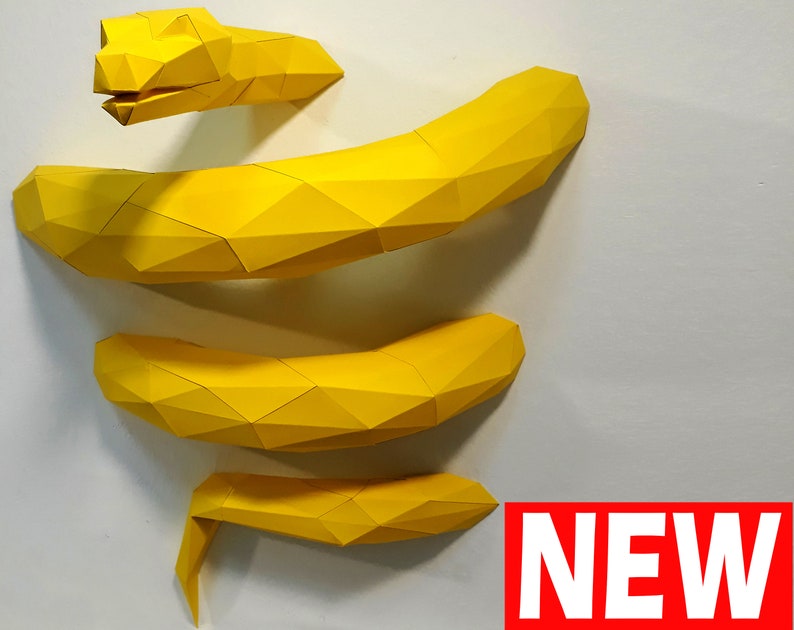 Interesting facts about anacondas picture